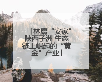 林麝“安家”陕西子洲 生态链上崛起的“黄金”产业